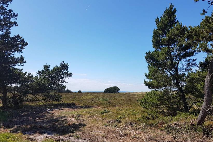 Foto von Ferienhaus DH68 in Vesterø - Læsø
