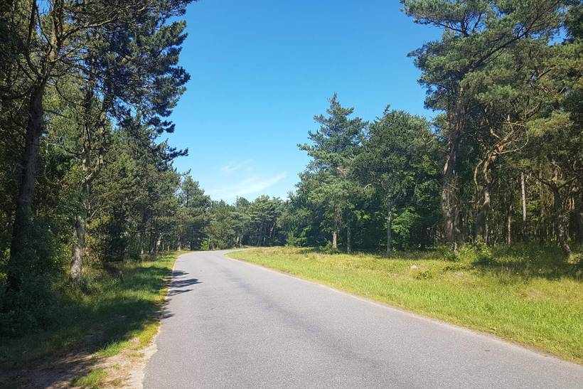 Foto von Ferienhaus DH68 in Vesterø - Læsø