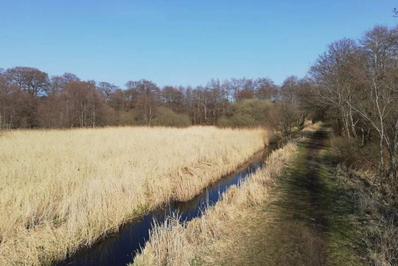 Foto von Ferienhaus DH69 in Fuglslev - Ebeltoft - Ostjütland