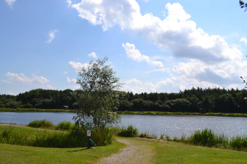 Foto von Ferienhaus DH73 in Arrild - Südjütland