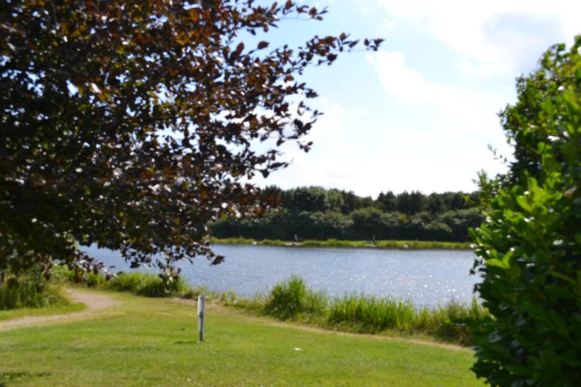 Foto von Ferienhaus DH73 in Arrild - Südjütland