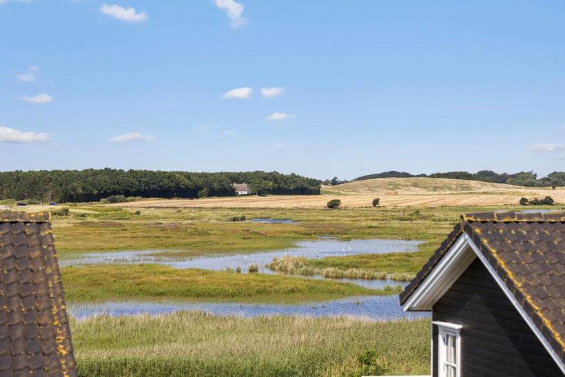 Foto von Ferienhaus DI10 in Bagenkop - Langeland