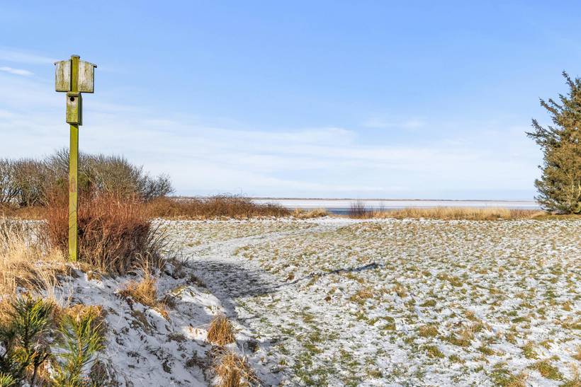 Foto von Ferienhaus DI38 in Bork Havn - Westjütland