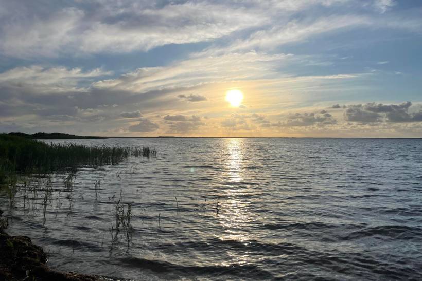 Foto von Ferienhaus DI38 in Bork Havn - Westjütland