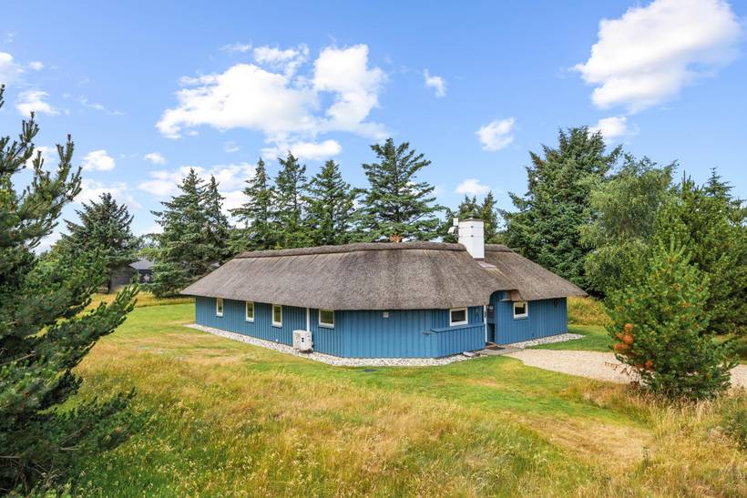 Foto von Ferienhaus DI73 in Vejers Strand - Westjütland