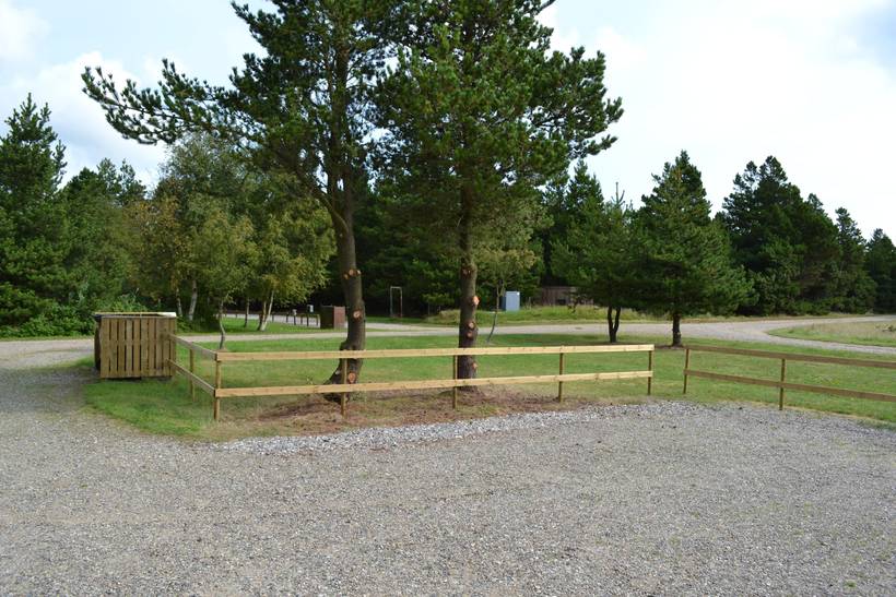 Foto von Ferienhaus DJ05 in Kongsmark - Rømø