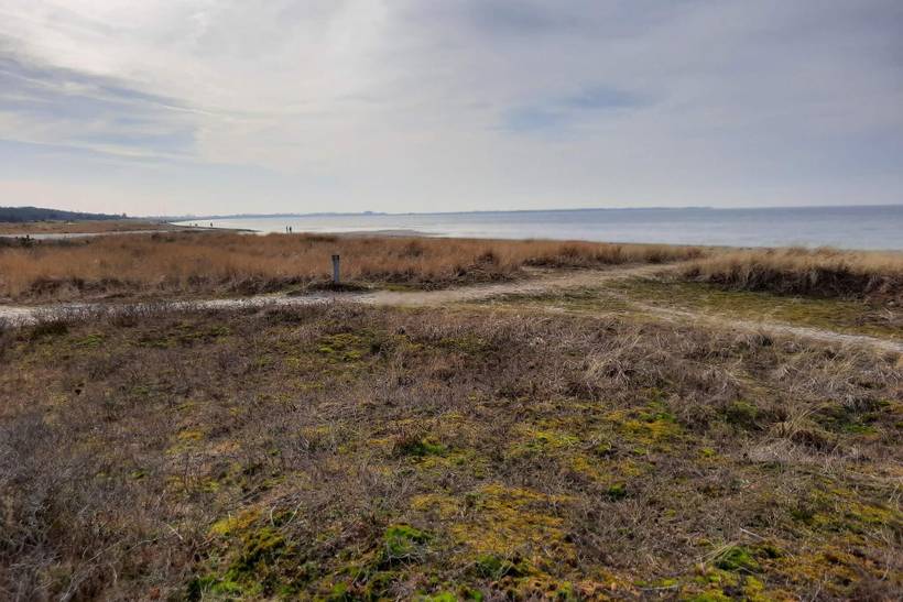 Foto von Ferienhaus DJ22 in Bjerge - Westseeland