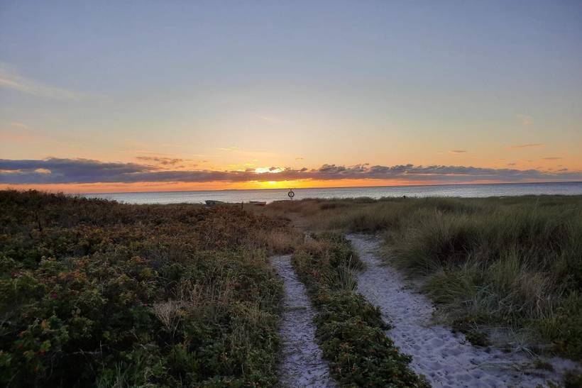 Foto von Ferienhaus DJ22 in Bjerge - Westseeland