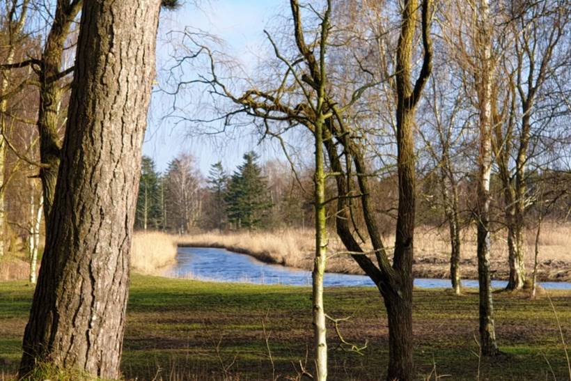 Foto von Ferienhaus DJ22 in Bjerge - Westseeland