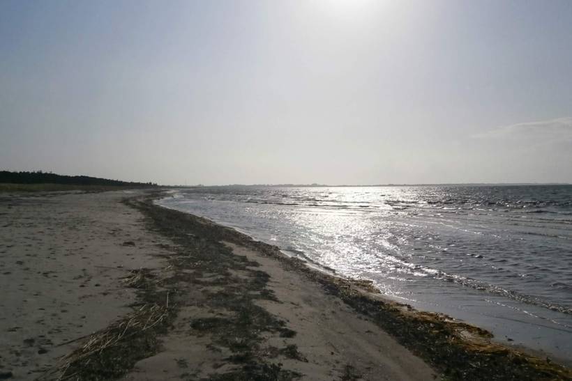 Foto von Ferienhaus DJ22 in Bjerge - Westseeland