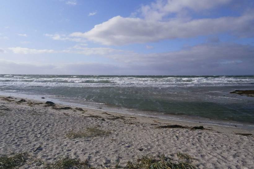 Foto von Ferienhaus DJ22 in Bjerge - Westseeland