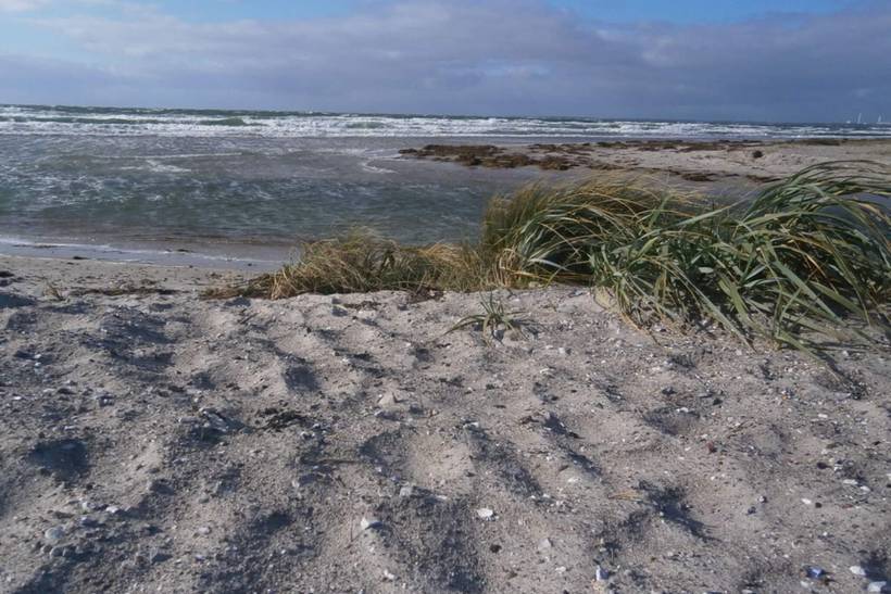 Foto von Ferienhaus DJ22 in Bjerge - Westseeland