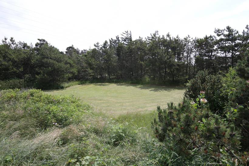 Foto von Ferienhaus DJ25 in Klegod - Westjütland