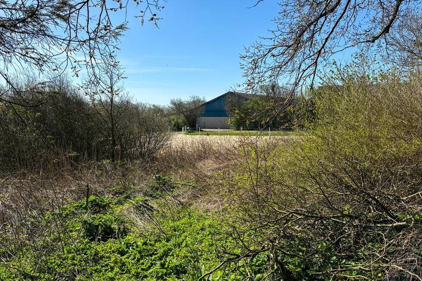 Foto von Ferienhaus DJ53 in Hostrup - Thy/Limfjord