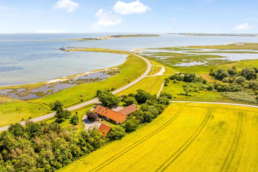 Foto von Ferienhaus DJ96 in Amtoft - Thy/Limfjord
