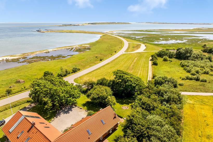 Foto von Ferienhaus DJ96 in Amtoft - Thy/Limfjord