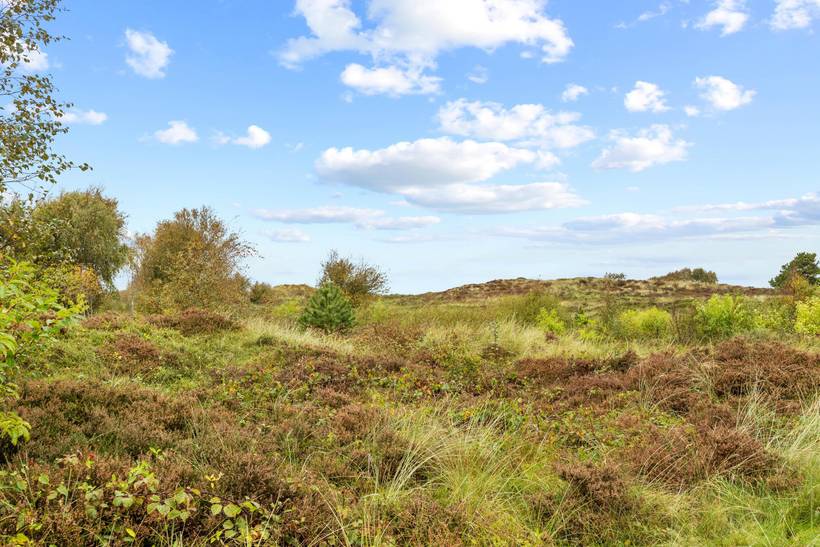 Foto von Ferienhaus DK07 in Toftum - Rømø