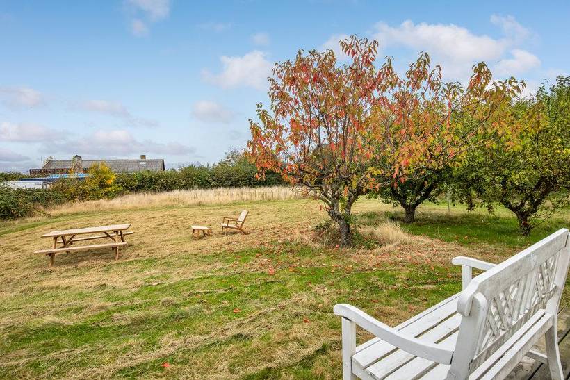 Foto von Ferienhaus DK19 in Sandkås - Bornholm