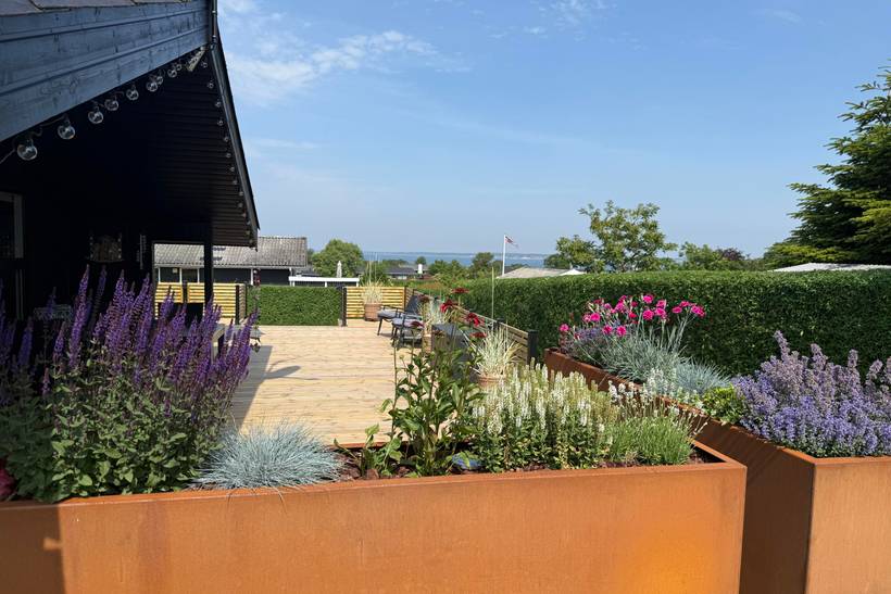 Foto von Ferienhaus DK55 in Selde - Thy/Limfjord