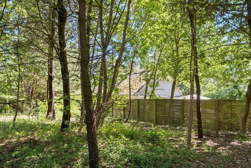 Foto von Ferienhaus DL06 in Vester Husby - Westjütland