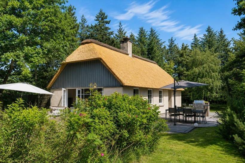 Foto von Ferienhaus DL06 in Vester Husby - Westjütland