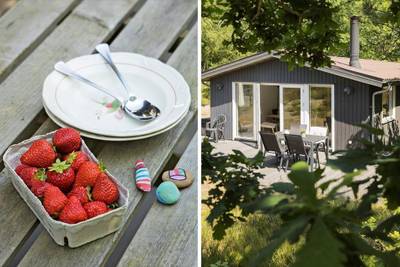 Vorschaubild von Ferienhaus DL08 in Fjellerup - Ostjütland