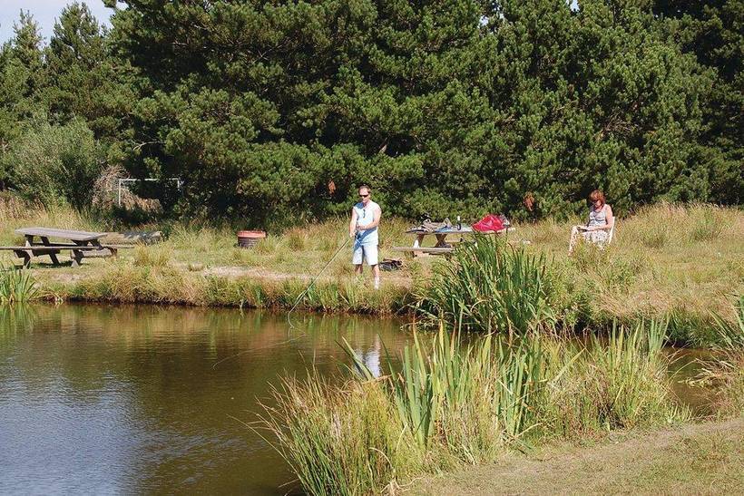 Foto von Ferienhaus DL23 in Ho - Blåvand - Westjütland