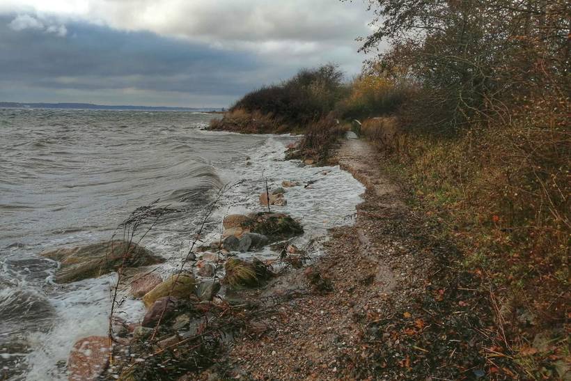 Foto von Ferienhaus DL25 in Flensborg Fjord - Südjütland
