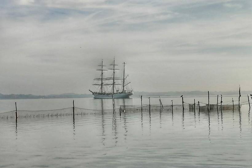 Foto von Ferienhaus DL25 in Flensborg Fjord - Südjütland