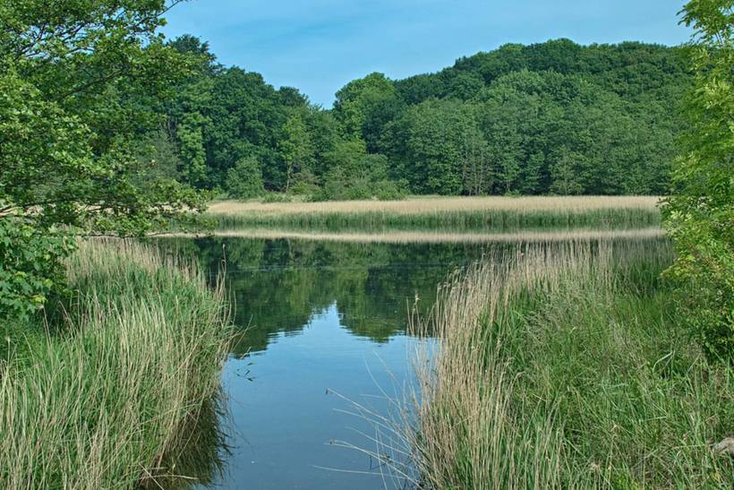 Foto von Ferienhaus DL25 in Flensborg Fjord - Südjütland