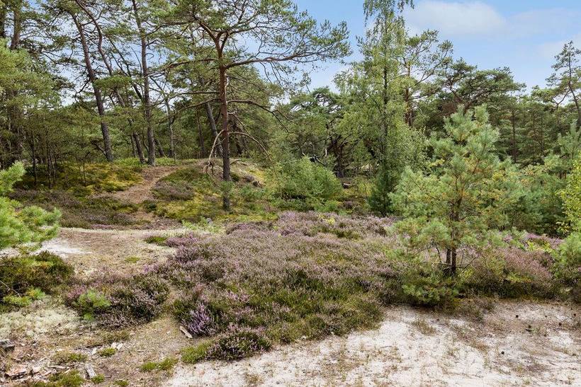 Foto von Ferienhaus DL30 in Dueodde - Bornholm