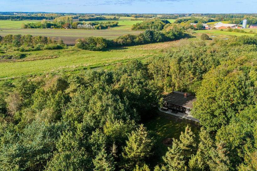 Foto von Ferienhaus DL45 in Skjern - Westjütland