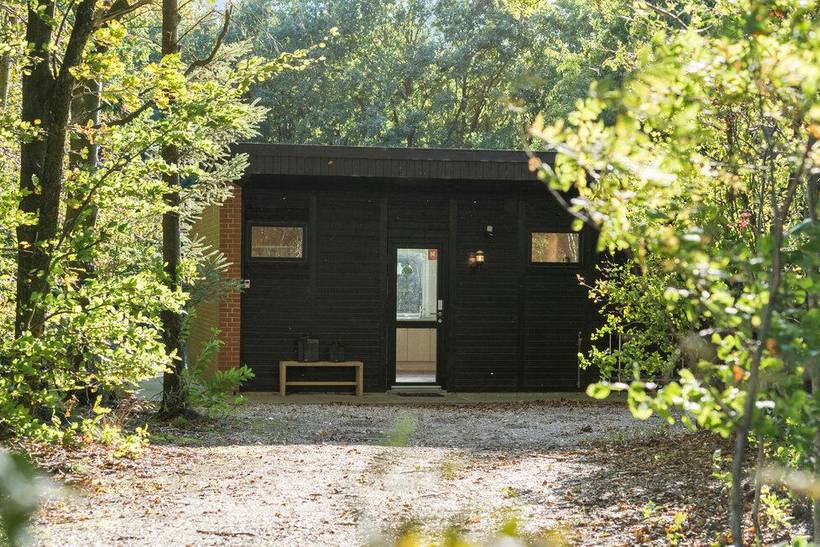 Foto von Ferienhaus DL45 in Skjern - Westjütland