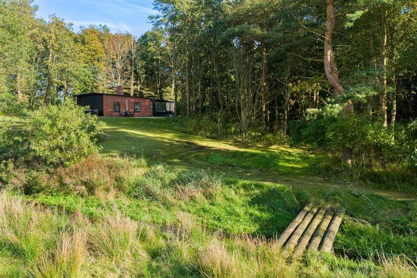 Foto von Ferienhaus DL45 in Skjern - Westjütland