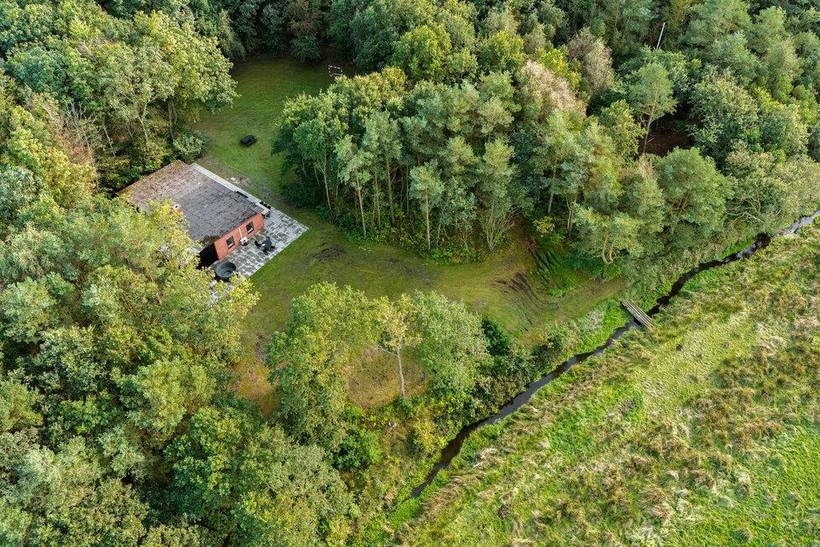Foto von Ferienhaus DL45 in Skjern - Westjütland
