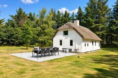 Vorschaubild von Ferienhaus DM22 in Vester Husby - Westjütland