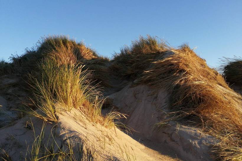 Foto von Ferienhaus DM44 in Lodbjerg Hede - Søndervig - Westjütland