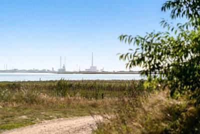 Vorschaubild von Ferienhaus DM46 in Ho - Blåvand - Westjütland