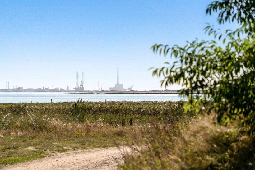 Foto von Ferienhaus DM46 in Ho - Blåvand - Westjütland