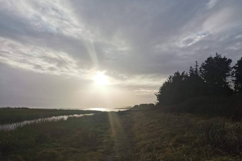 Foto von Ferienhaus DM83 in Øster Hurup - Nordjütland Ost
