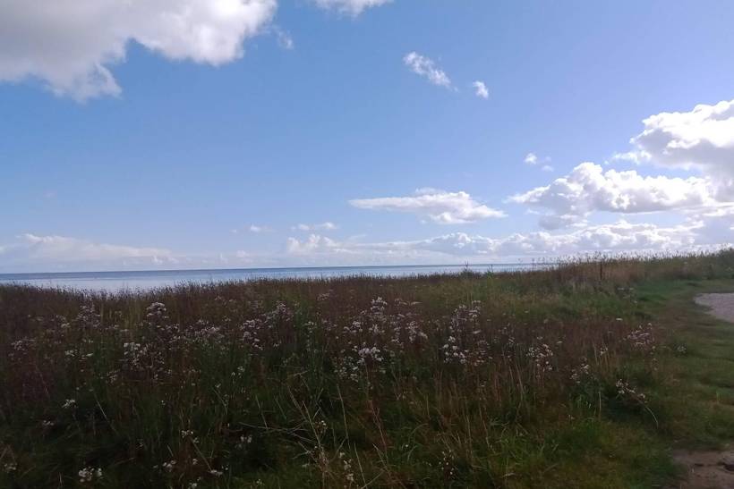 Foto von Ferienhaus DM83 in Øster Hurup - Nordjütland Ost