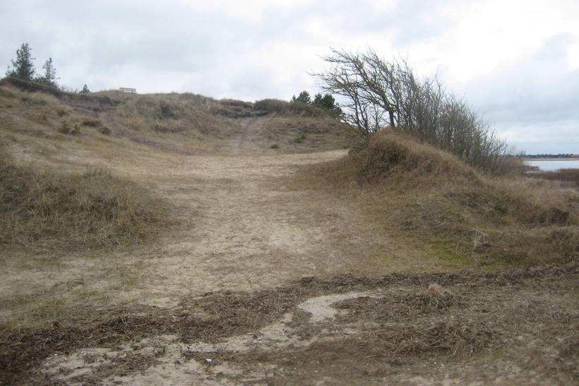 Foto von Ferienhaus DM83 in Øster Hurup - Nordjütland Ost