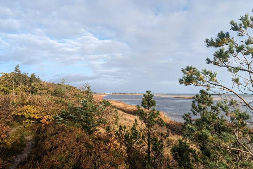 Foto von Ferienhaus DM83 in Øster Hurup - Nordjütland Ost