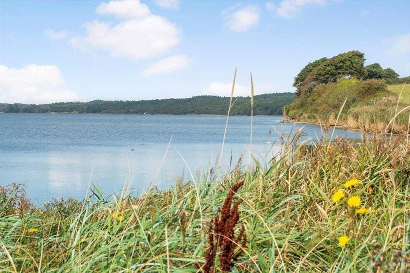 Foto von Ferienhaus DM99 in Amstrup - Odder - Ostjütland