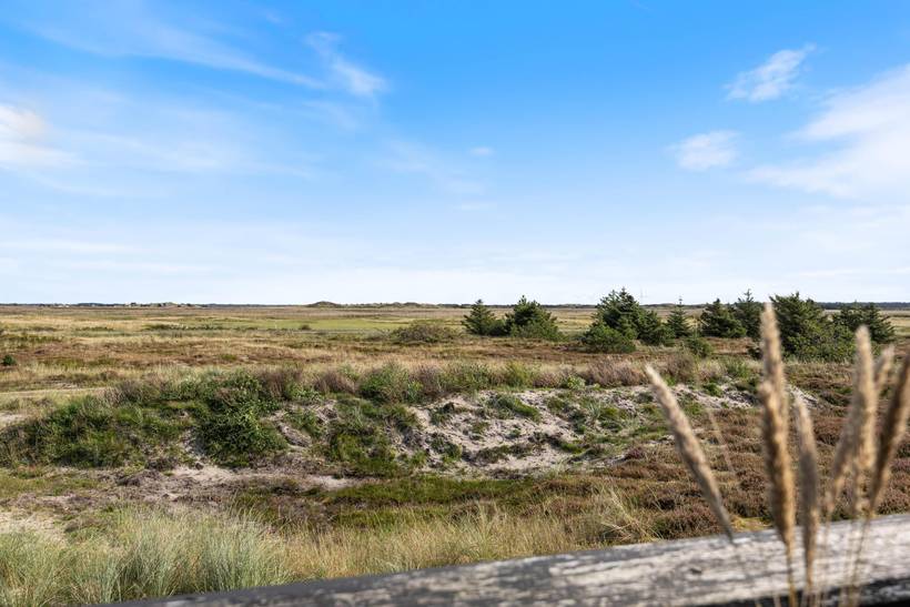 Foto von Ferienhaus DN64 in Bjerregård - Westjütland