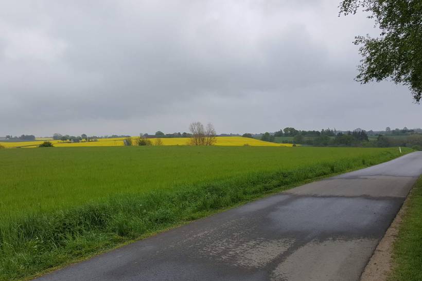 Foto von Ferienhaus DN85 in Juelsminde - Ostjütland