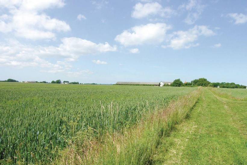 Foto von Ferienhaus DO01 in Dueodde - Bornholm