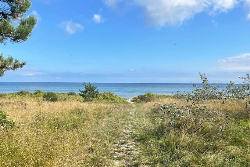 Foto von Ferienhaus DO08 in Mårup - Samsø