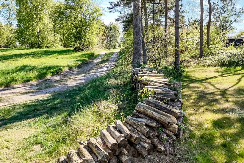 Foto von Ferienhaus DO31 in Begtrup Vig - Mols - Ostjütland