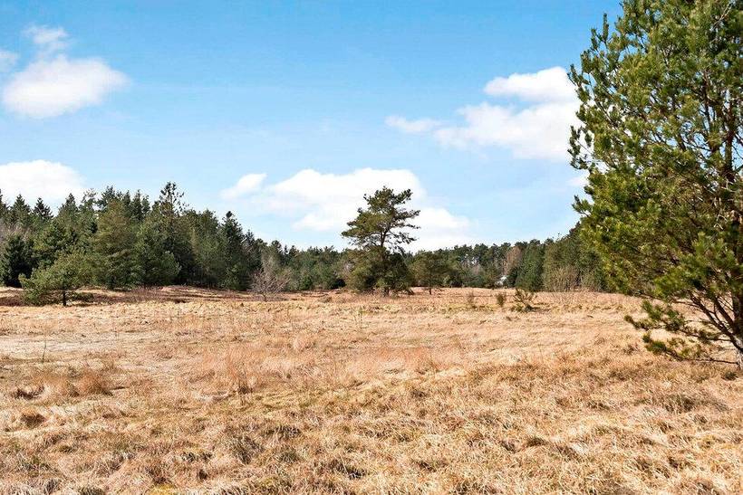 Foto von Ferienhaus DO57 in Silkeborg - Ostjütland
